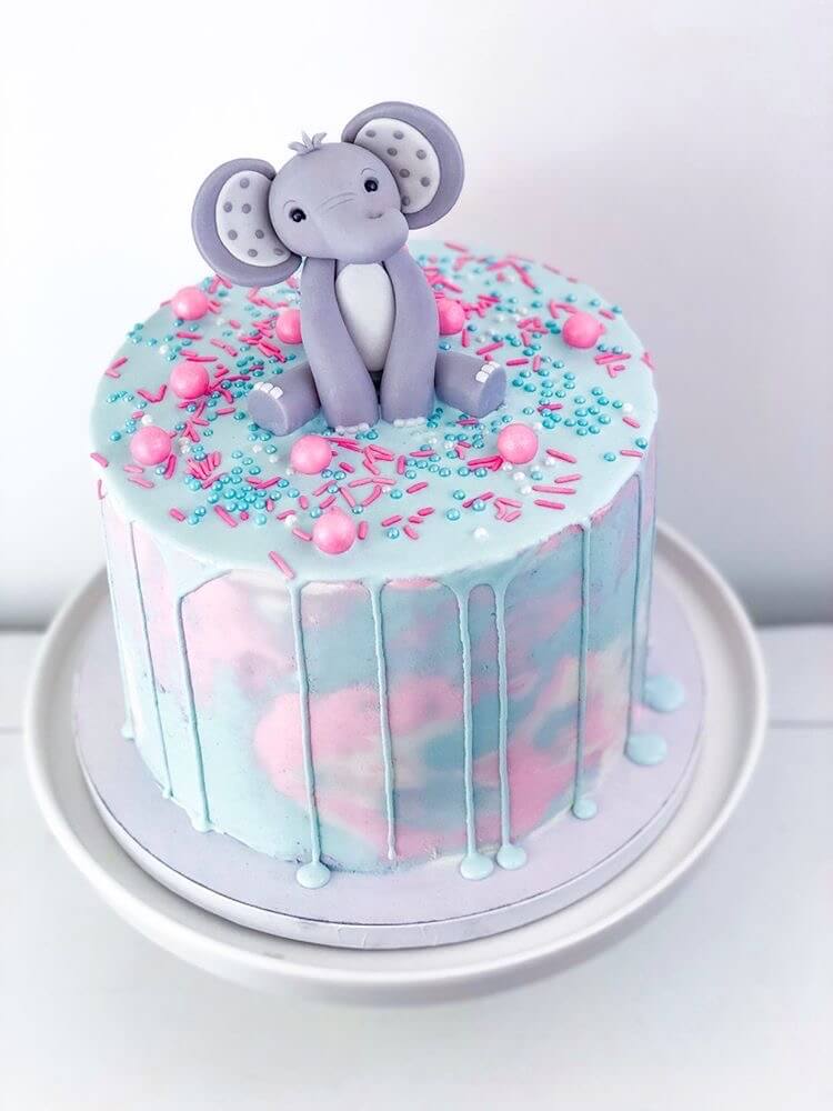 gender reveal cake; elephant, blue and pink sprinkles 