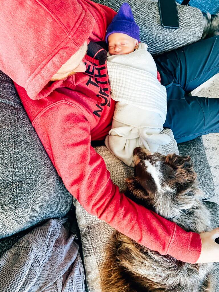 postpartum truths no one warns you about, dogs and babies