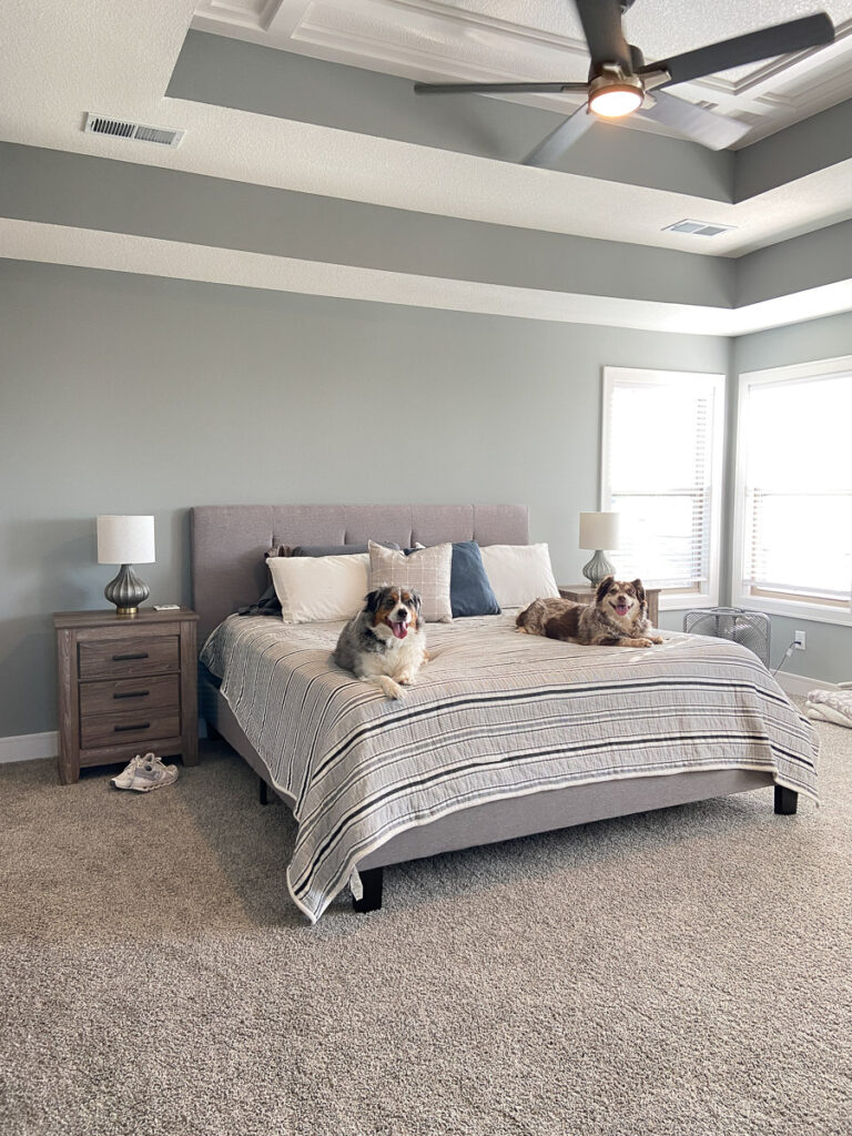 design selections and FAQs for home build #2: primary bedroom with gray walls 